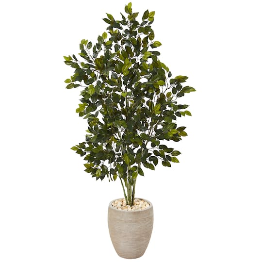 4.4ft. Ficus Tree in Sand Colored Planter 